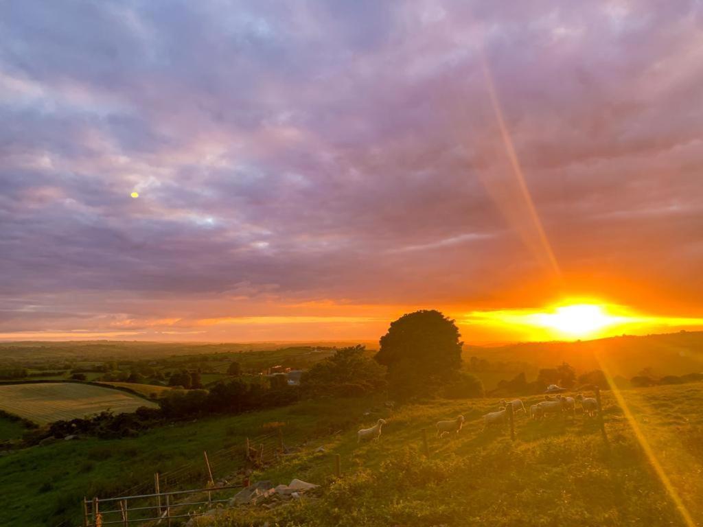 Вілла Hillhead Country Retreat Каслвеллан Екстер'єр фото